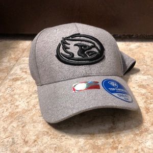 Iowa State University hat